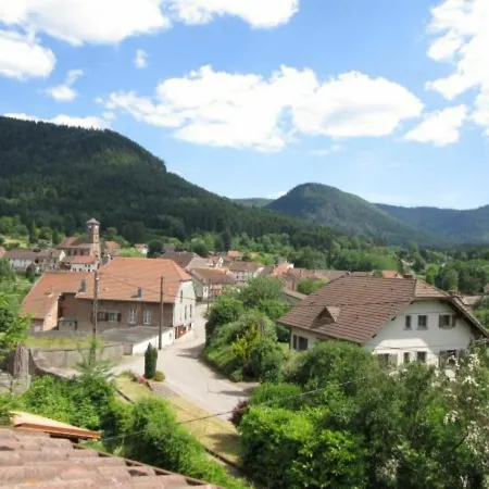 Vosgien Avec Terrasse, Randonnees Et Lacs, Proche Alsace Et Col Du Donon - Fr-1-584-54 Ferienhaus *
