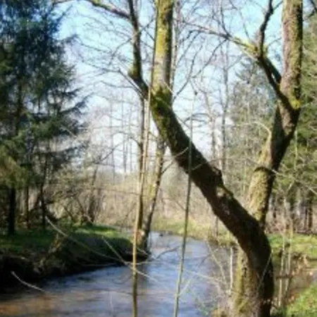 Vosgien Avec Terrasse, Randonnees Et Lacs, Proche Alsace Et Col Du Donon - Fr-1-584-54 *
