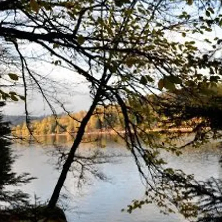 Vosgien Avec Terrasse, Randonnees Et Lacs, Proche Alsace Et Col Du Donon - Fr-1-584-54 Bionville