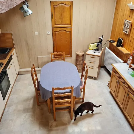 Ferienhaus Vosgien Avec Terrasse, Randonnees Et Lacs, Proche Alsace Et Col Du Donon - Fr-1-584-54 Bionville