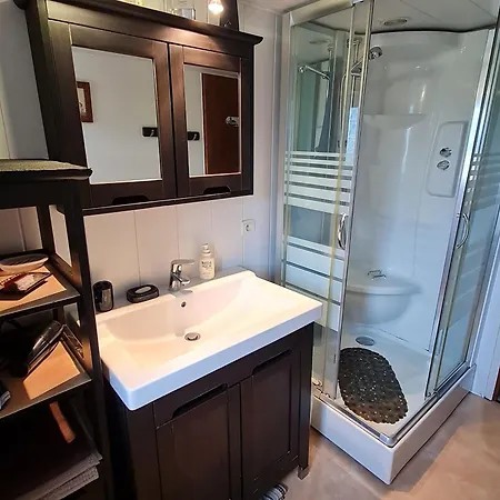 Vosgien Avec Terrasse, Randonnees Et Lacs, Proche Alsace Et Col Du Donon - Fr-1-584-54 *