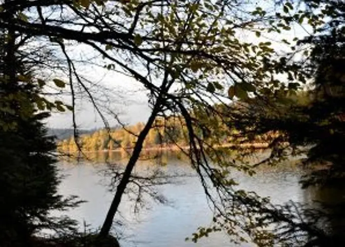 Vosgien Avec Terrasse, Randonnees Et Lacs, Proche Alsace Et Col Du Donon - Fr-1-584-54 Bionville