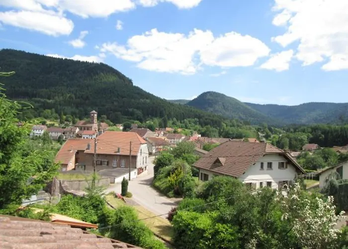 Vosgien Avec Terrasse, Randonnees Et Lacs, Proche Alsace Et Col Du Donon - Fr-1-584-54 Bionville