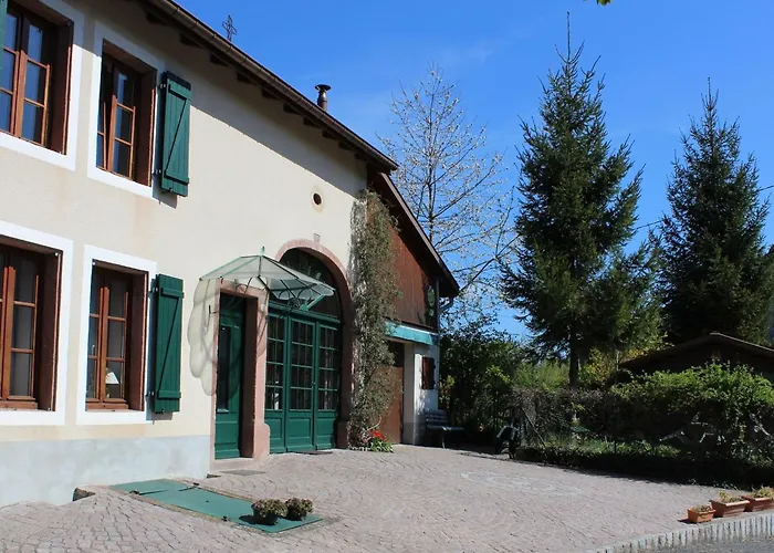 Vosgien Avec Terrasse, Randonnees Et Lacs, Proche Alsace Et Col Du Donon - Fr-1-584-54 *