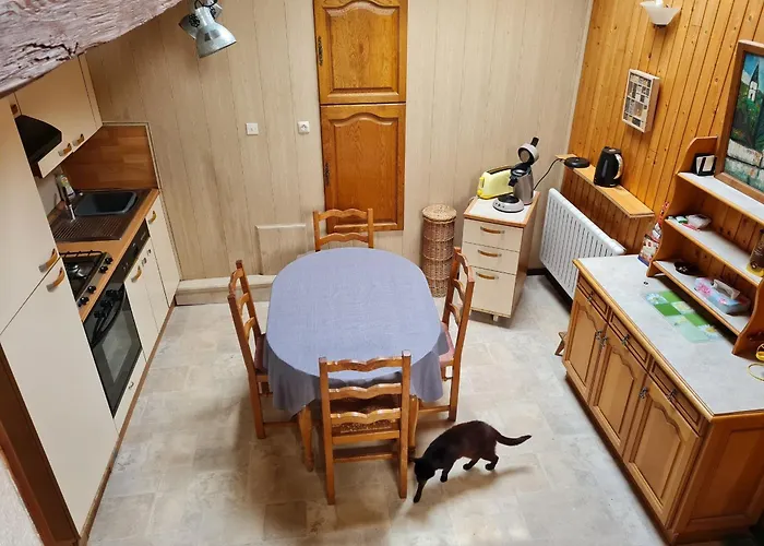 Prázdninový dům Vosgien Avec Terrasse, Randonnees Et Lacs, Proche Alsace Et Col Du Donon - Fr-1-584-54 Bionville