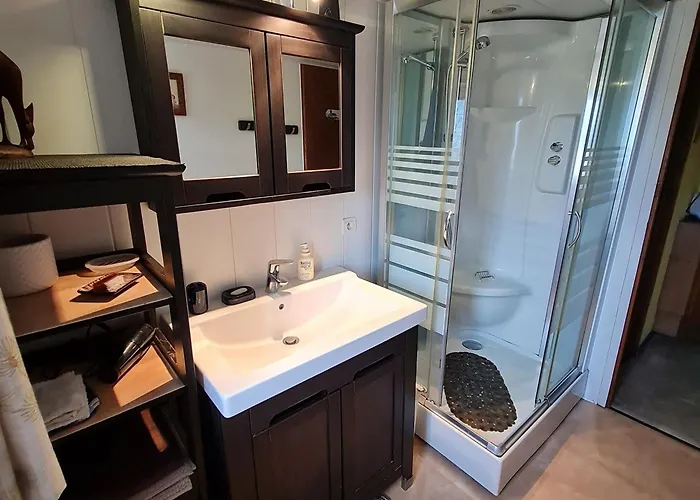 Vosgien Avec Terrasse, Randonnees Et Lacs, Proche Alsace Et Col Du Donon - Fr-1-584-54 *