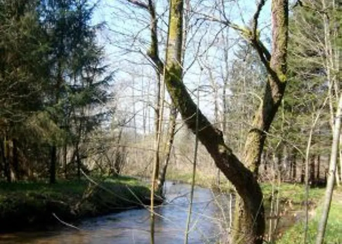 Prázdninový dům Vosgien Avec Terrasse, Randonnees Et Lacs, Proche Alsace Et Col Du Donon - Fr-1-584-54 *