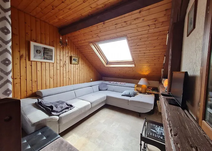 Prázdninový dům Vosgien Avec Terrasse, Randonnees Et Lacs, Proche Alsace Et Col Du Donon - Fr-1-584-54 *