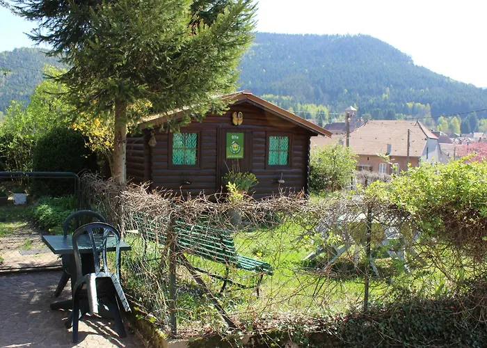 Vosgien Avec Terrasse, Randonnees Et Lacs, Proche Alsace Et Col Du Donon - Fr-1-584-54 *